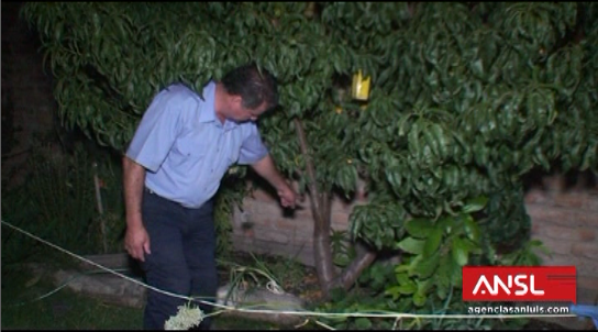 El sospechoso fue apresado cuando se encontraba agazapado debajo de un duraznero en el patio de una casa vecina.
