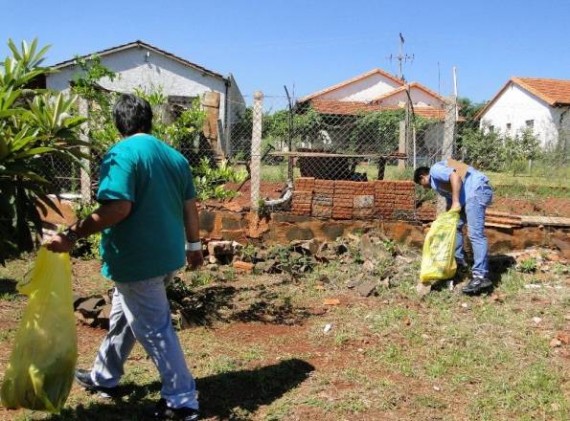 Limpieza de patios para prevenir el Dengue 