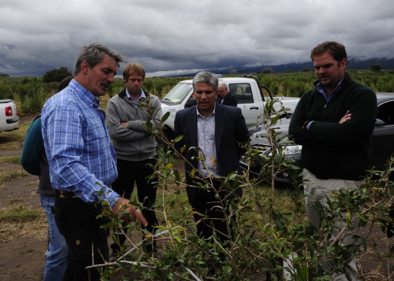 El Gobernador durante la recorrida por  “Patagonia Fruit”.
