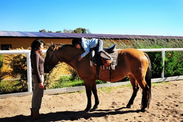 un niño interactúando con su caballo, fue la foto  elegida