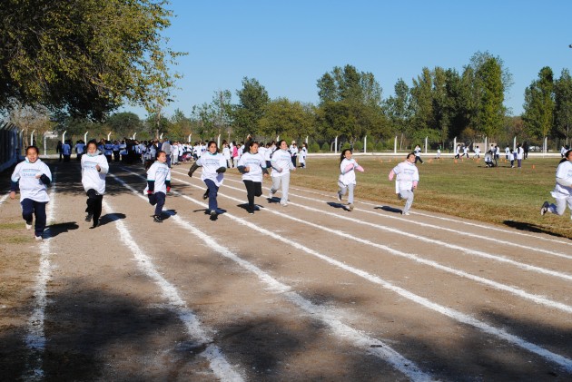 Los chicos avanzan en la competencia.