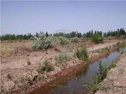 Canal Cuchi Corral.