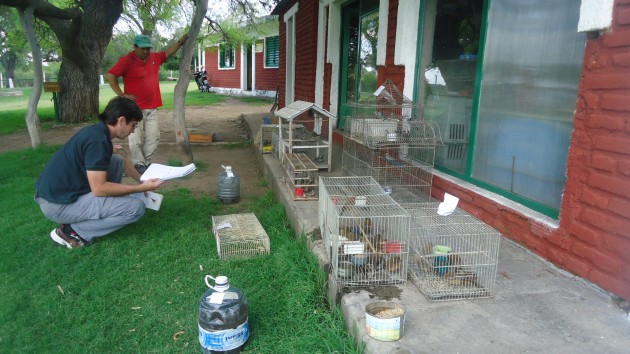 Entre los datos arrojados por los profesionales del Ministerio, se dio a conocer la recuperación de 1500 aves.