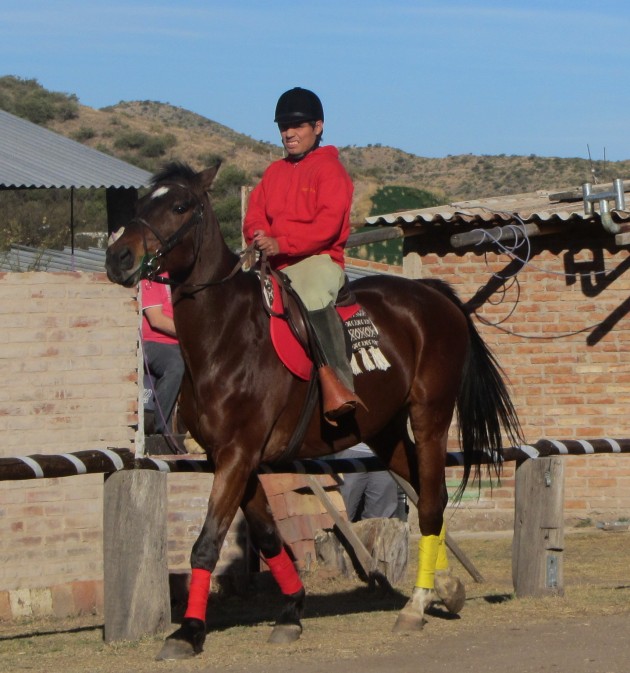 El caballo y el deportista con capacidades diferentes, una dupla que funciona a la perfección 