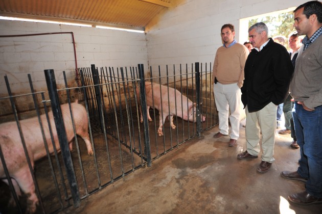 Jorge Díaz recorrió la Escuela Agraria junto al ministro del Campo, Felipe Tomasevich