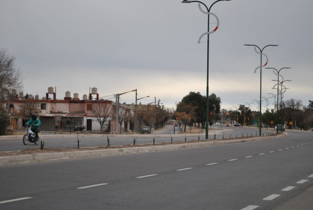 Se forestó los 4,5 km habilitados de la Avenida Eva Perón. 