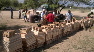 Proteccion de bosque nativo. Proyecto apicultura