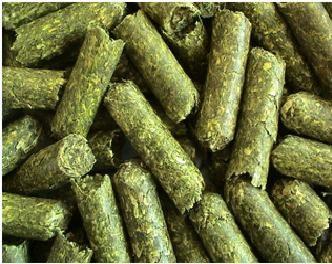 Pellets alfalfa