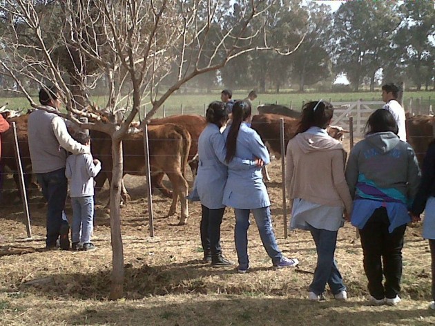 Asistencia sanitaria para animales en la escuela agrotécnica de San Miguel
