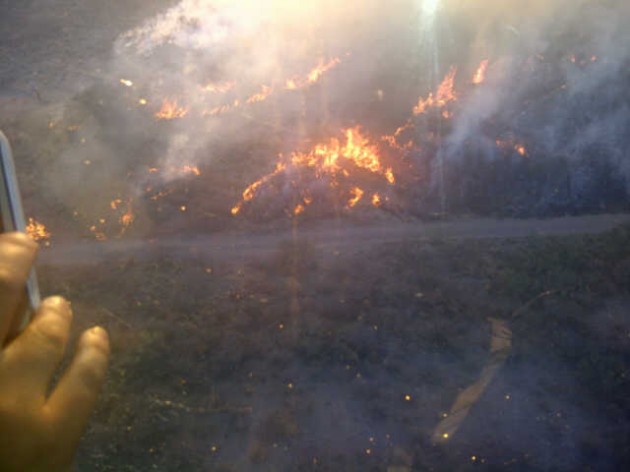 El fuego quemó vegetación autóctona y puso en peligro a una familia
