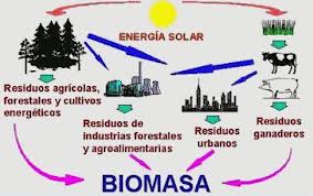 biomasa