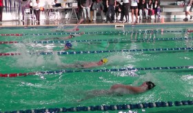 natacion-intercolegiales-280x165
