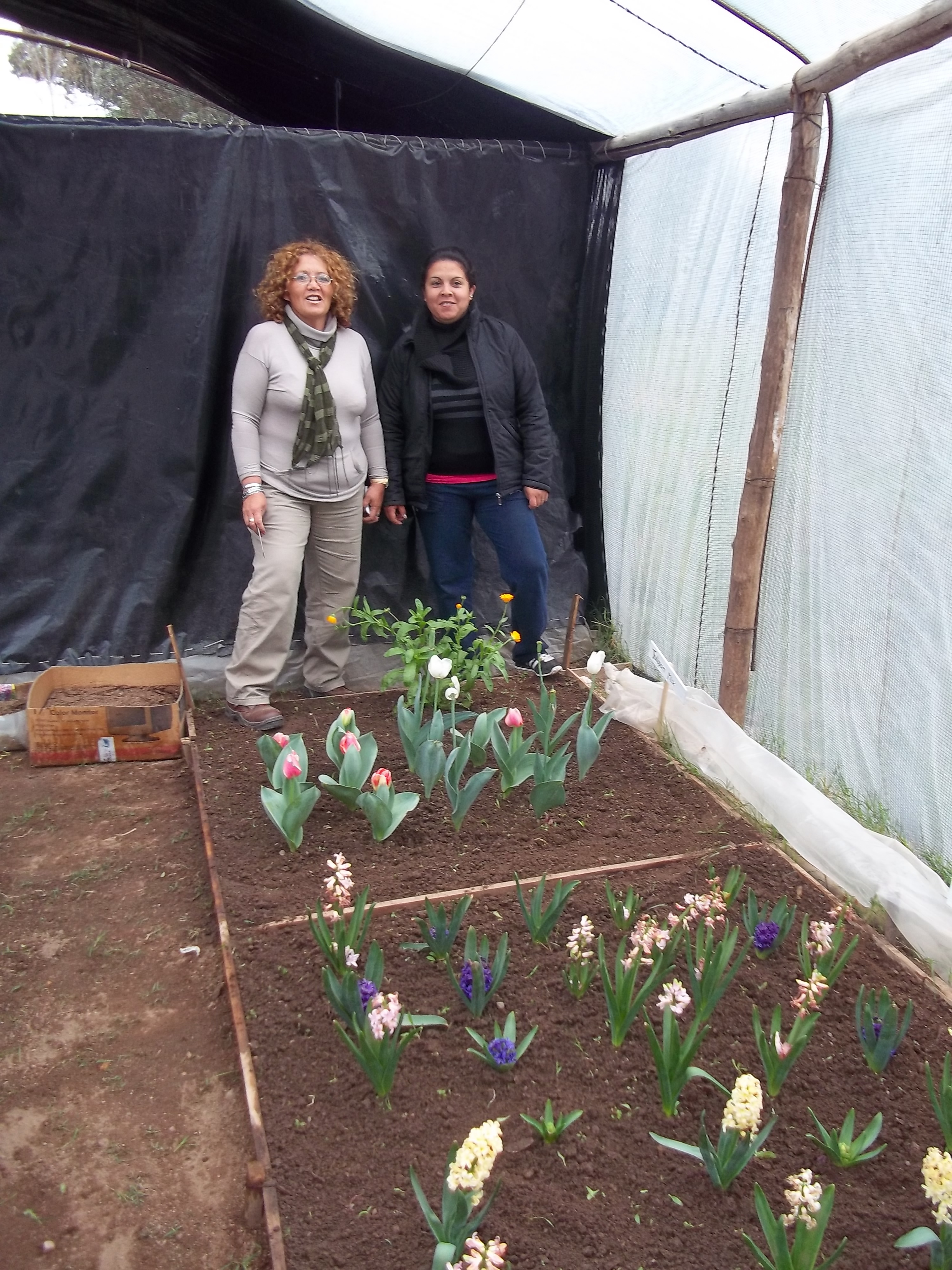 El abono elaborado será utilizado para acelerar la germinación y el desarrollo de las flores y plantas que se cultivan en los viveros 