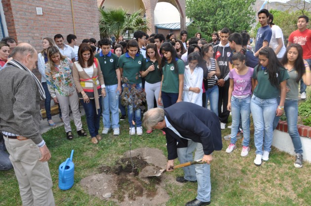 Plantaron un árbol en uno de los jardines ubicados en el frente de la escuela 
