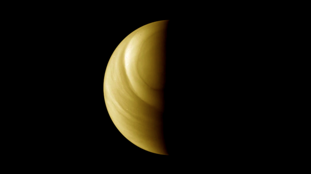 Venus se verá este viernes en el cielo argentino.