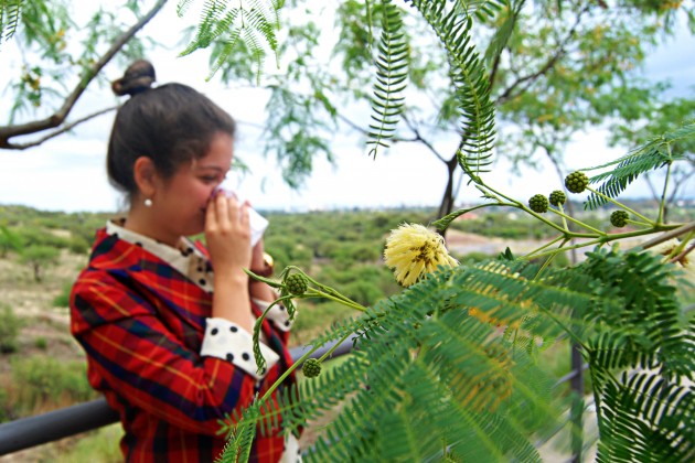 Las alergias llegan cuando los árboles, las plantas que florecen y las hierbas liberan el polen