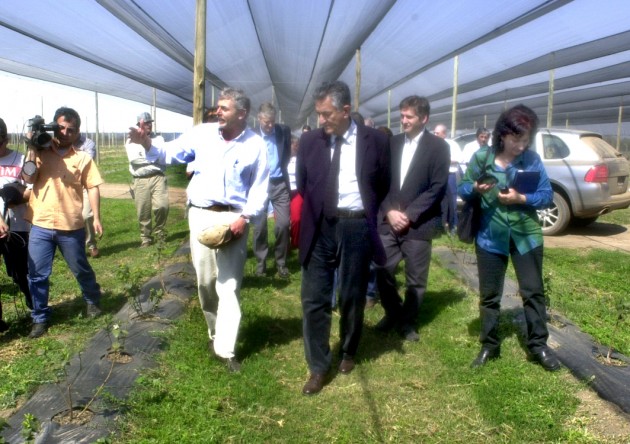 04-09-2004. Candelaria. El Gobernador visitó la plantación de arándanos. 