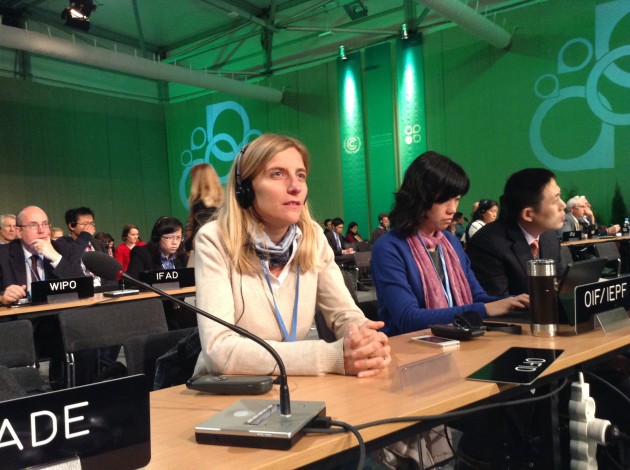 La ministra de Medio Ambiente participó de una disertación a cargo del Consejo Mundial de Energía. 