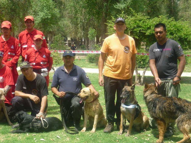 Grupo de canes y entrenadores.