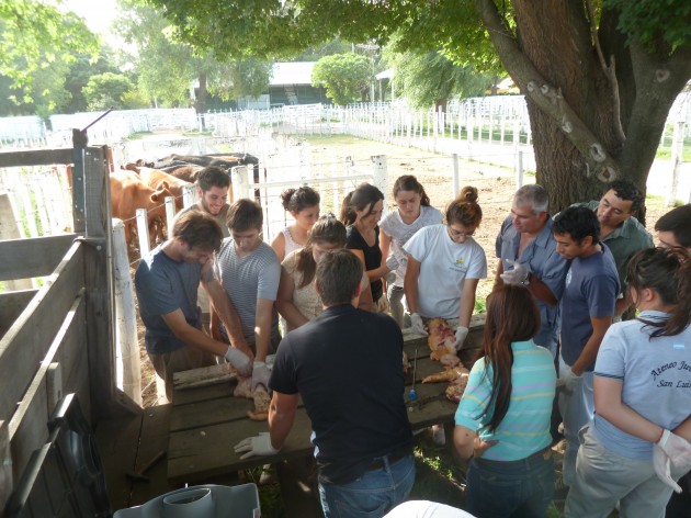 Participaron 24 personas entre productores, profesionales y alumnos