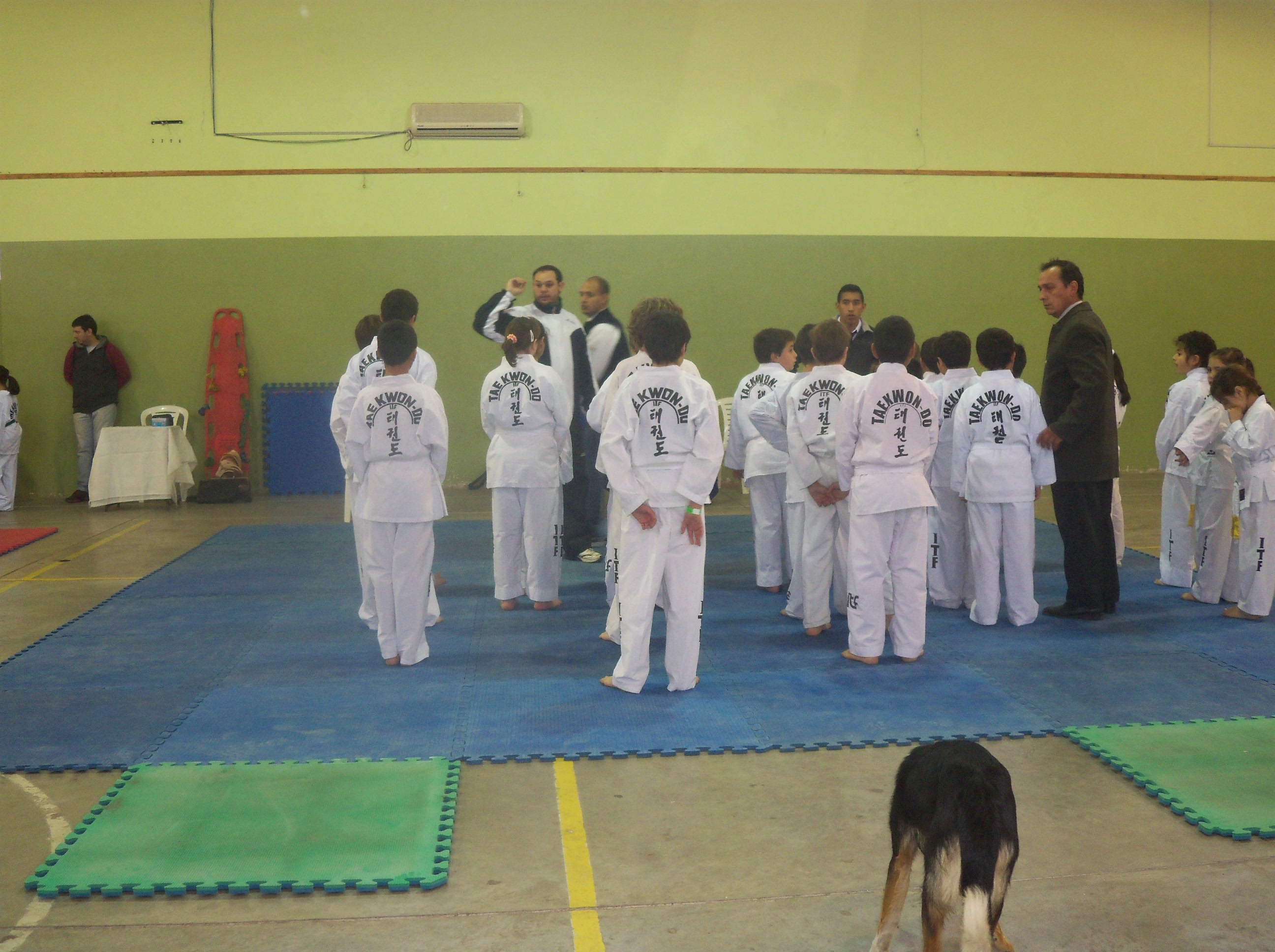 Justo Daract recibió al Taekwondo