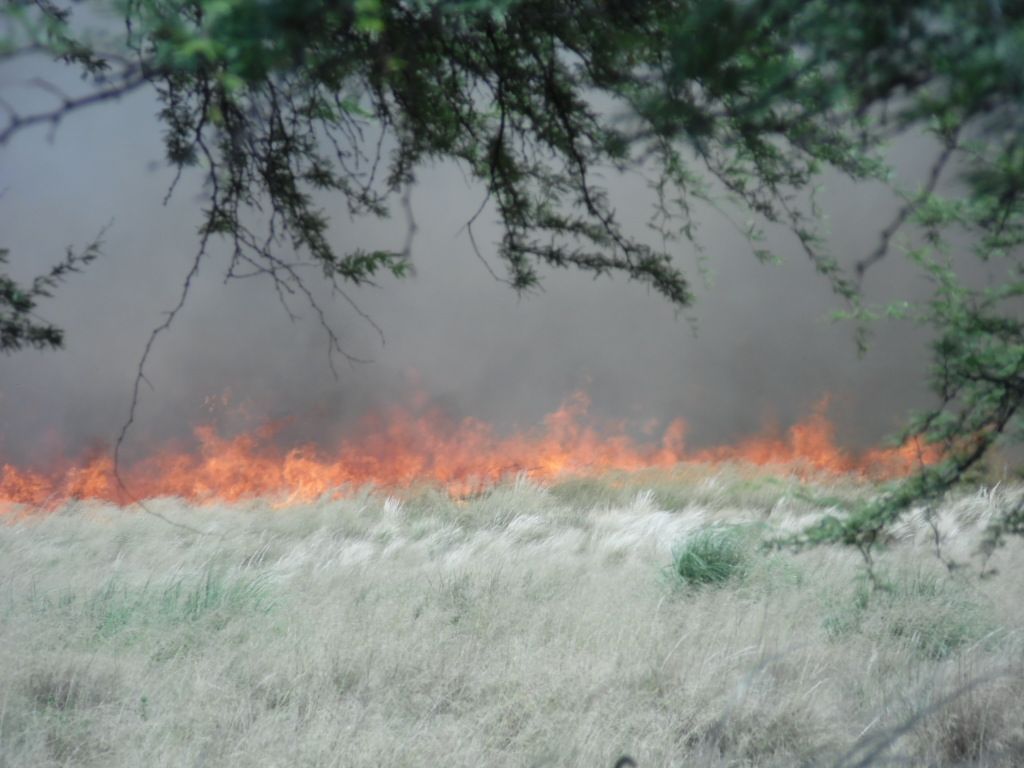 Extinguieron el fuego cerca de la localidad de Naschel