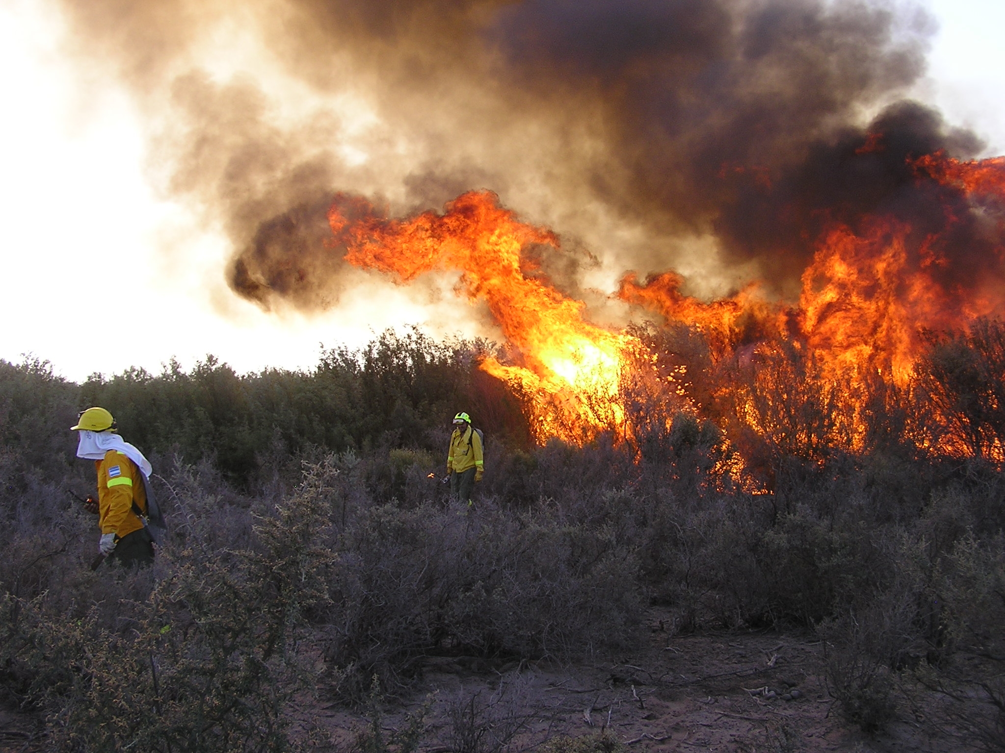 Incendios forestales: refuerzan equipamiento en Áreas Naturales Protegidas