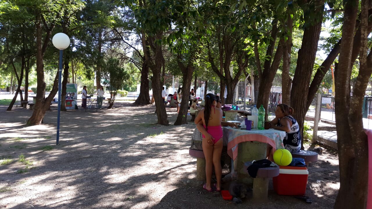 Promoción de hábitos positivos en el “Ave Fénix”