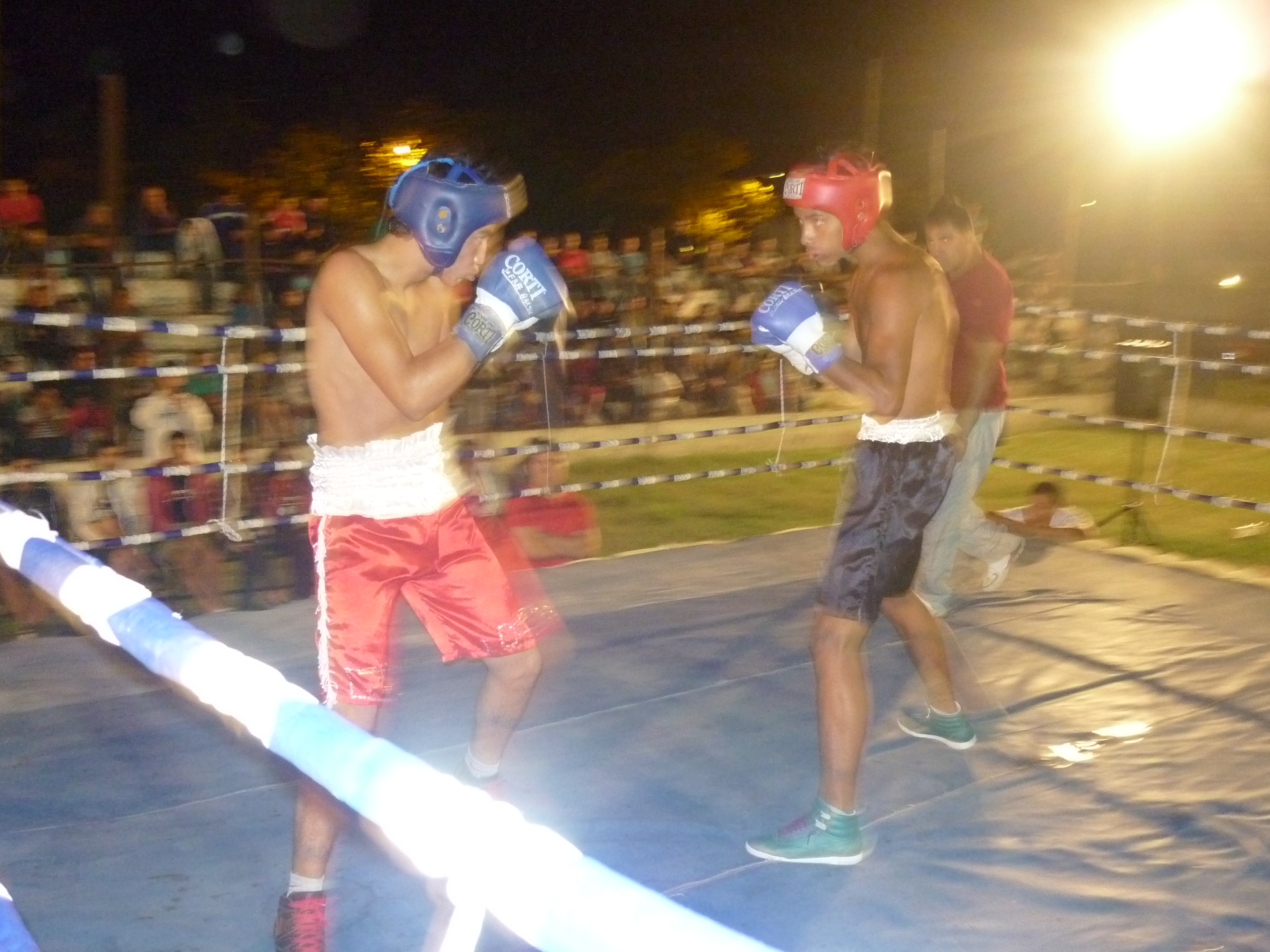 Gimnasios y boxeadores tuvieron su “Noche de Campeones”