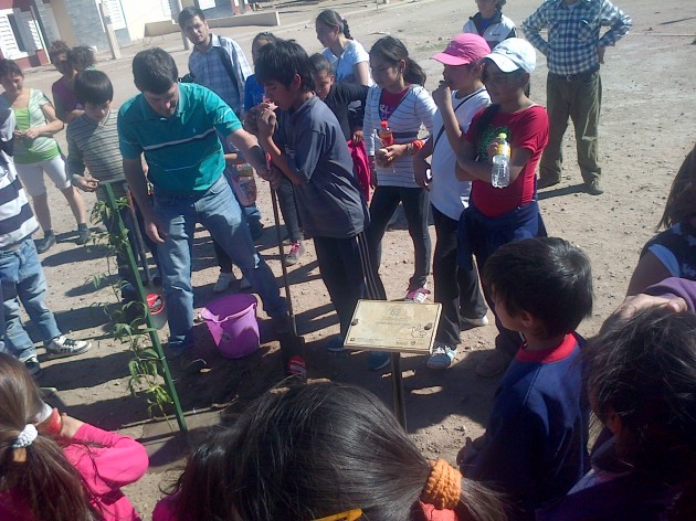 Forestarán con más de 1500 plantas barrios de San Luis, Villa Mercedes y La Toma