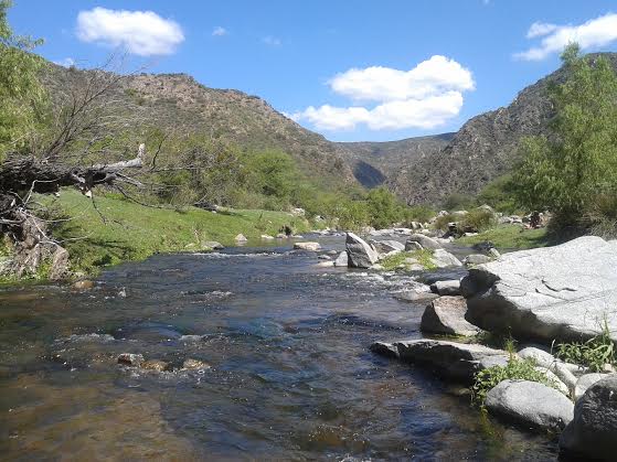 Sábado soleado y caluroso