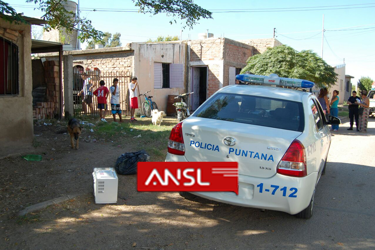 Detuvieron a un joven que robó en la casa de dos ancianos