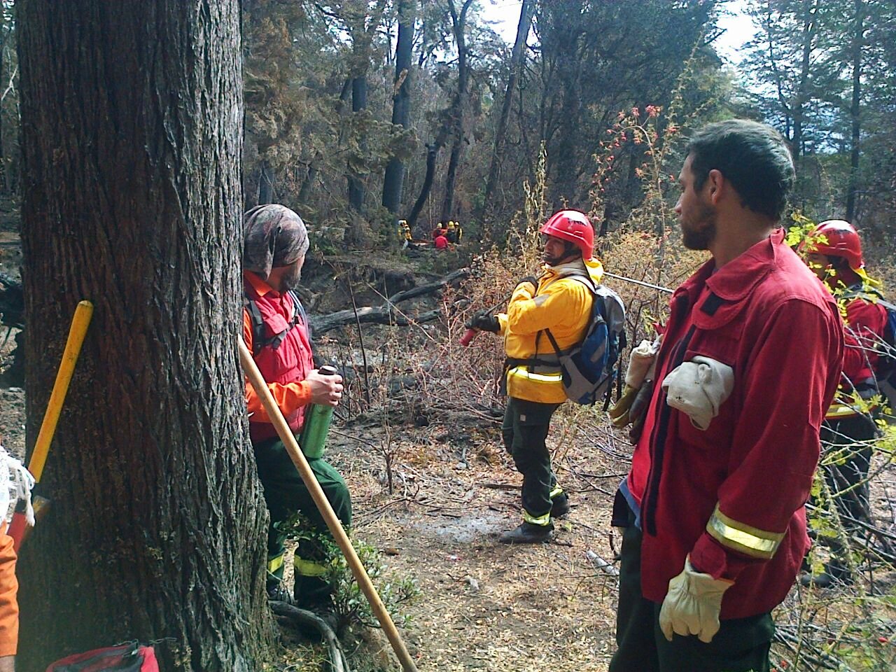 Regresaron los puntanos que combatieron el fuego en Chubut