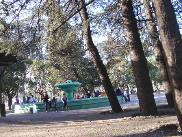 Con nuevos árboles y saneamiento de algunas especies buscan mejorar el Parque. 