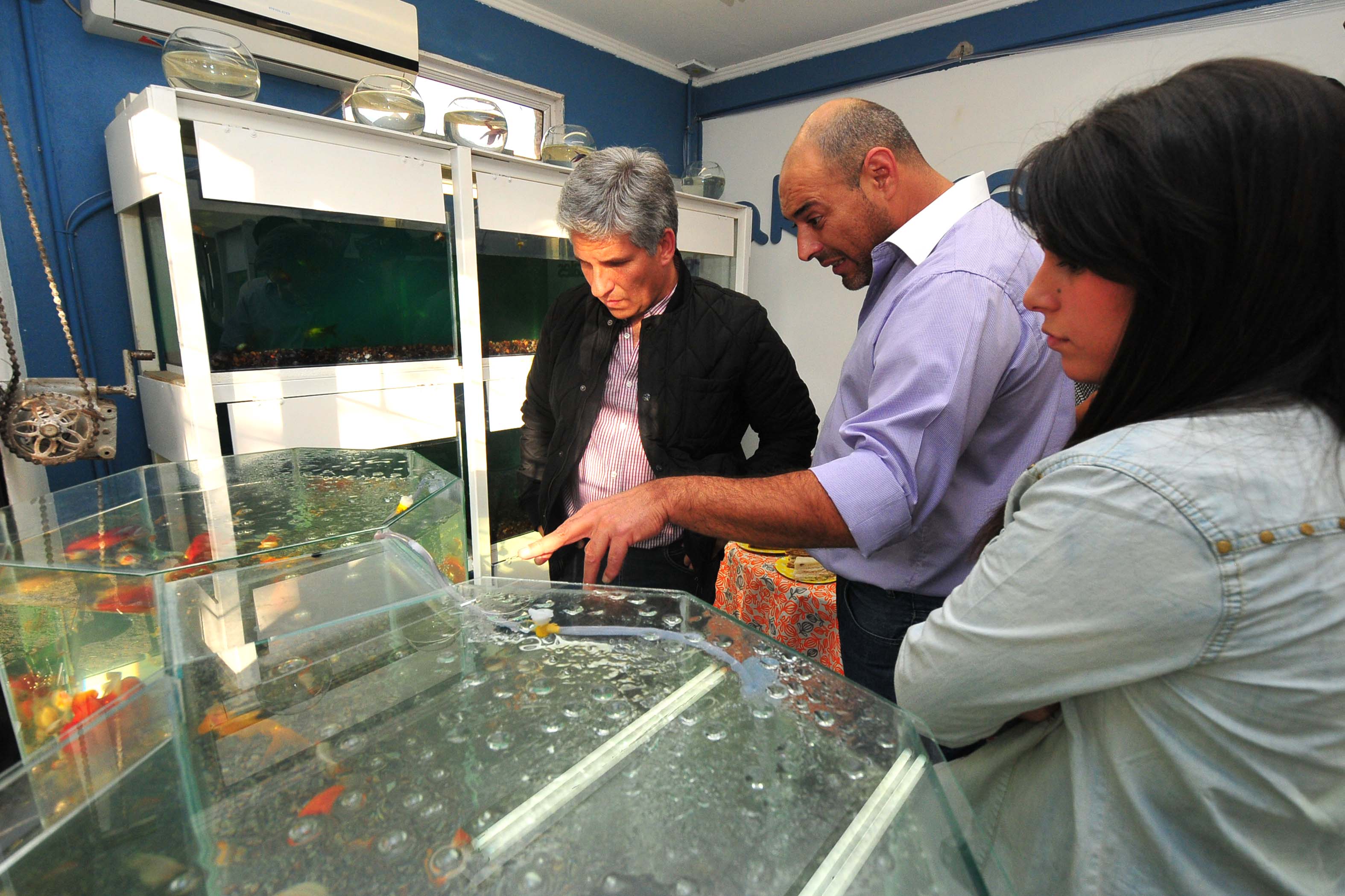 Abrió “Akuarama”, peces ornamentales