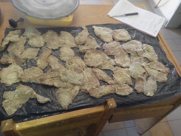 La Policía Caminera secuestró carne de liebre, avestruz y pecarí