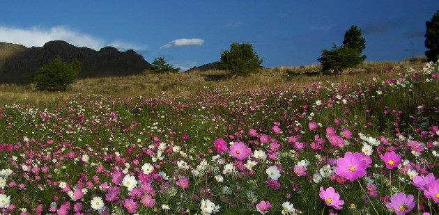 Las lluvias podrían llegar en la antesala de la primavera