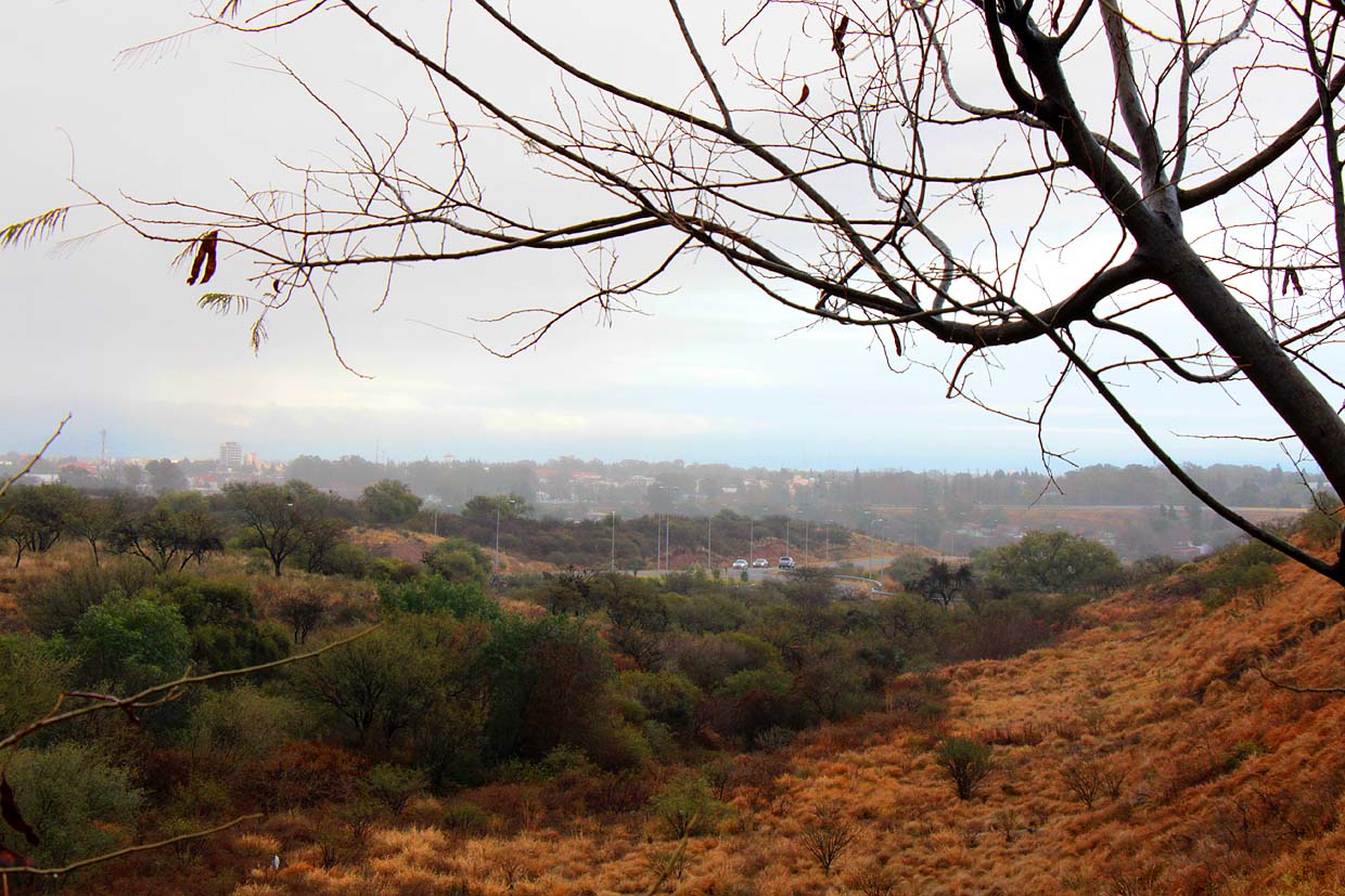 A días de la primavera, el invierno se hace sentir