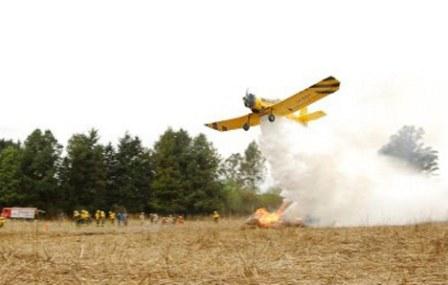 Bomberos de la Unidad Regional III y un avión hidrante combaten las llamas en Tilisarao