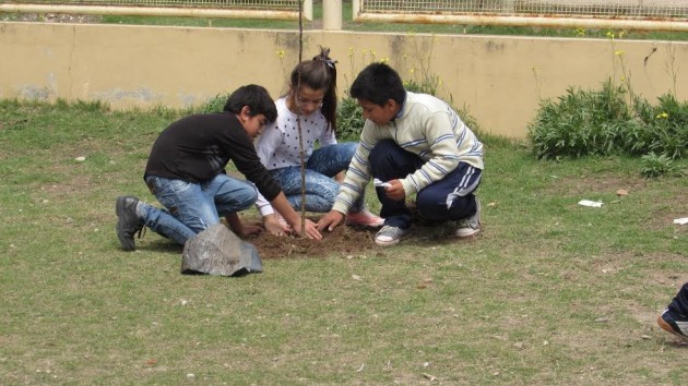  Los alumnos de la Escuela Nº 357 Máximo Camargo” plantaron los frutales.