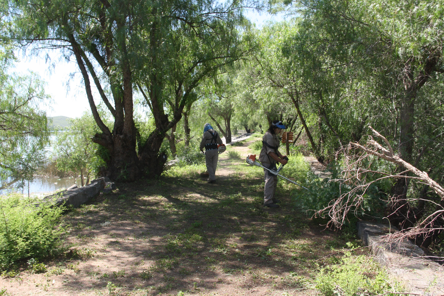 Cuadrillas de San Luis Agua limpian el peridique de Cruz de Piedra