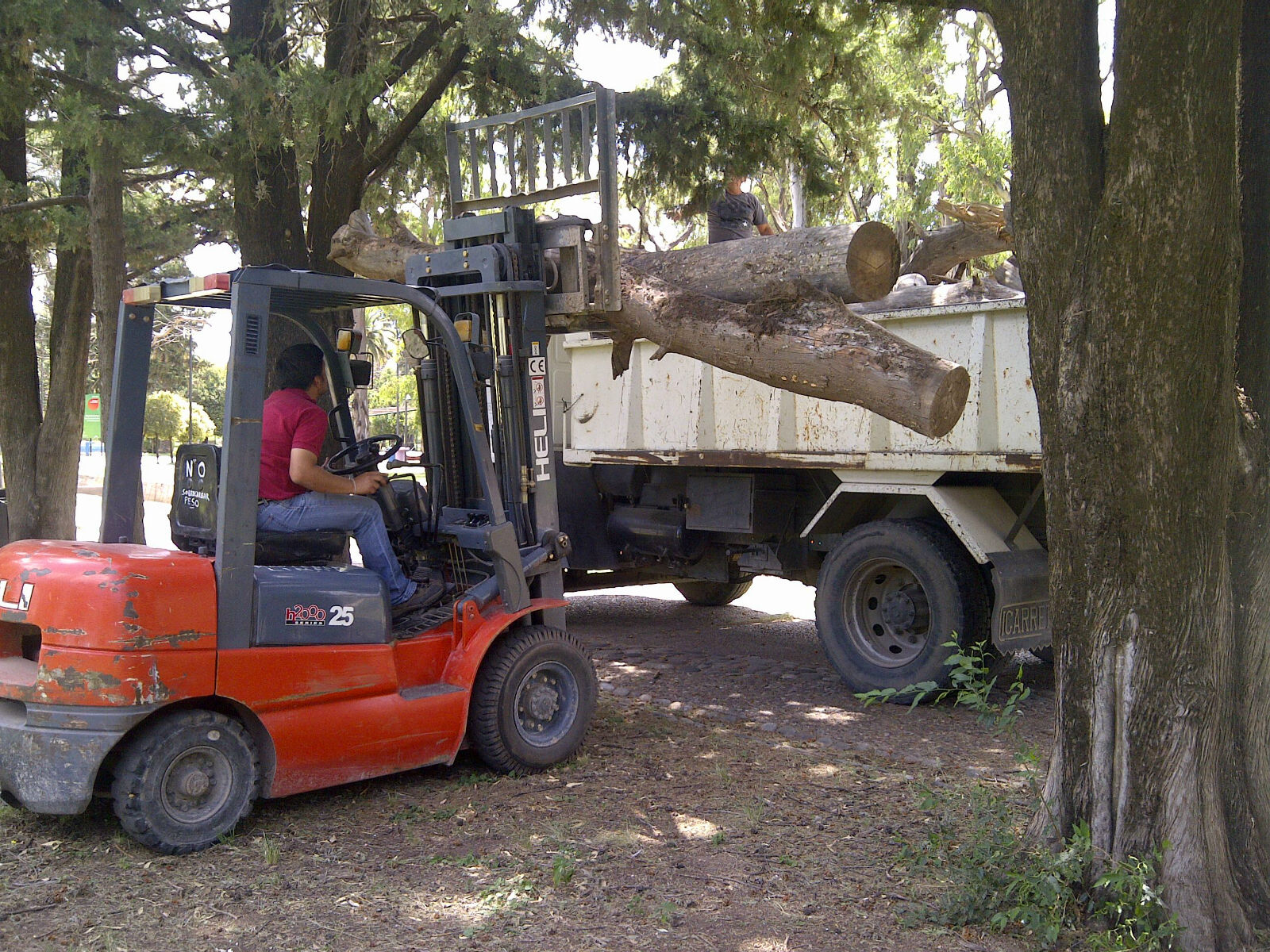 Realizan tareas de limpieza en el Parque de las Naciones