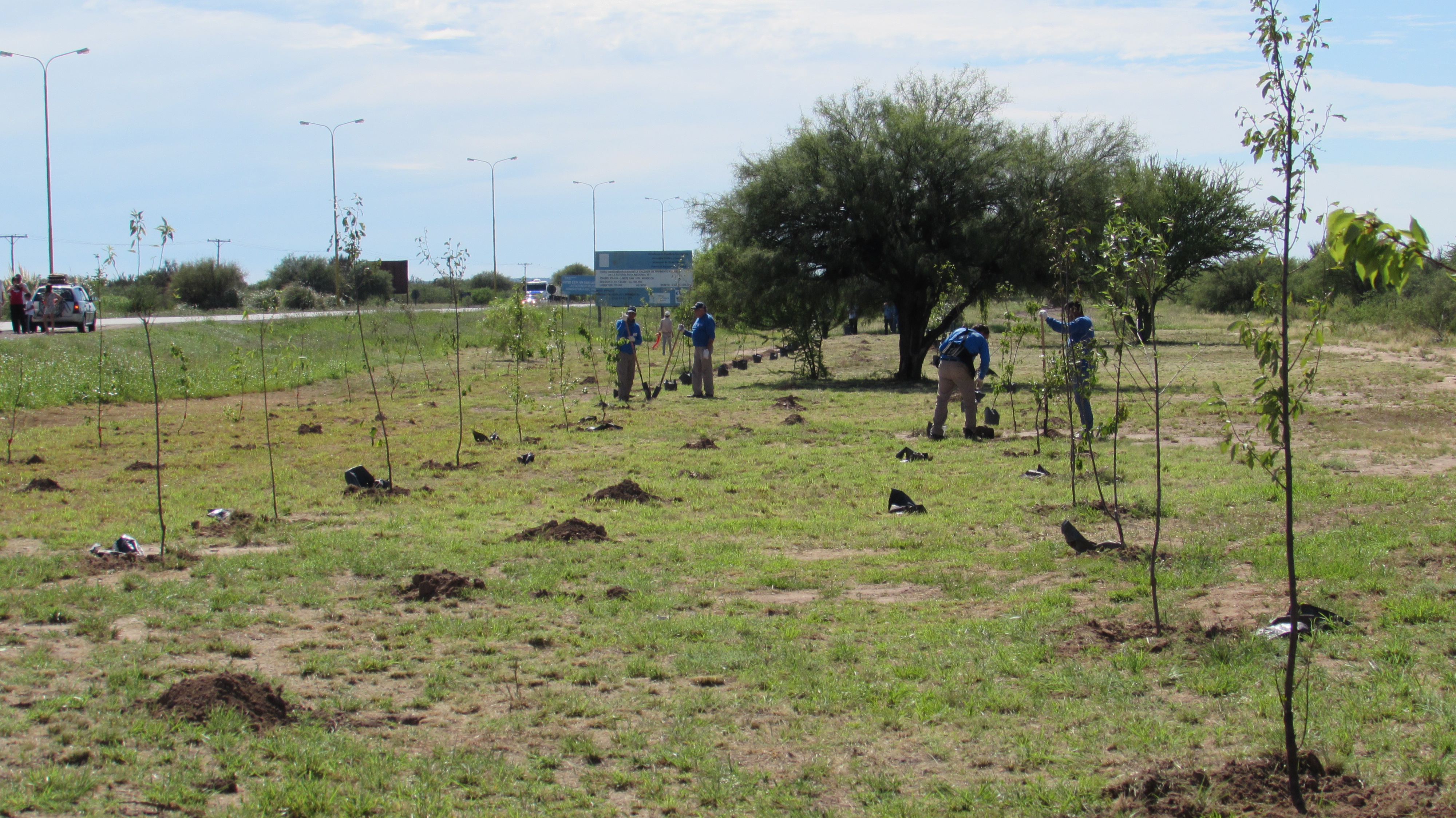 Ingresos verdes: el Ministerio comenzó con las tareas de forestación en Desaguadero