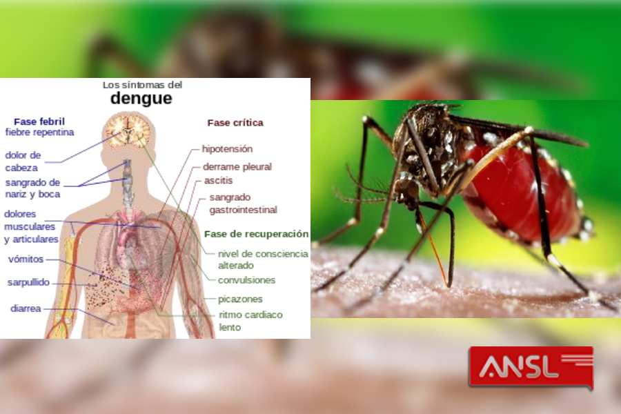 Se confirmó el noveno caso importado de dengue