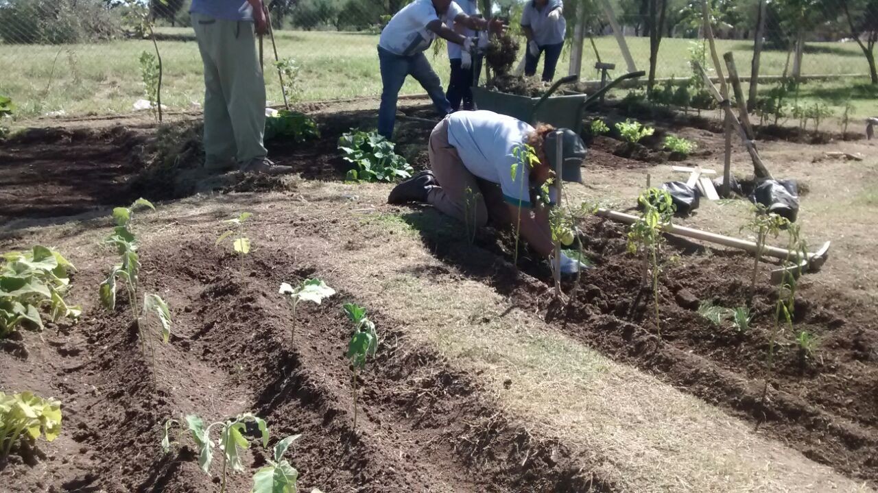 Un plan que fomenta la buena alimentación