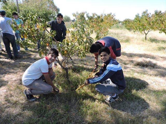 Aprendemos trabajando: un plan que fortalece la educación en las escuelas agrarias