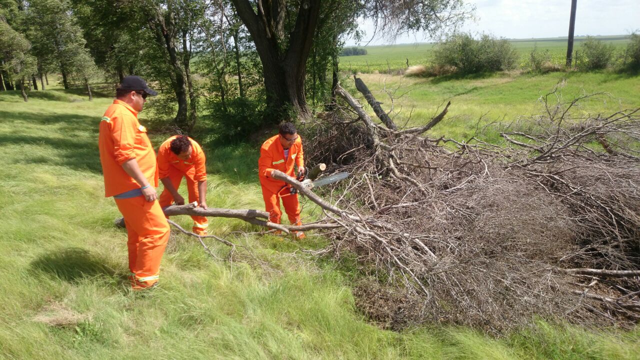 Tareas de limpieza en rutas por tormentas