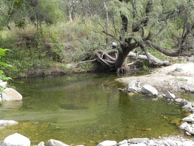 “Quebrada de las Higueritas” se ubica 125 Km al norte de la ciudad de San Luis y 5 Km al sudeste de Luján.