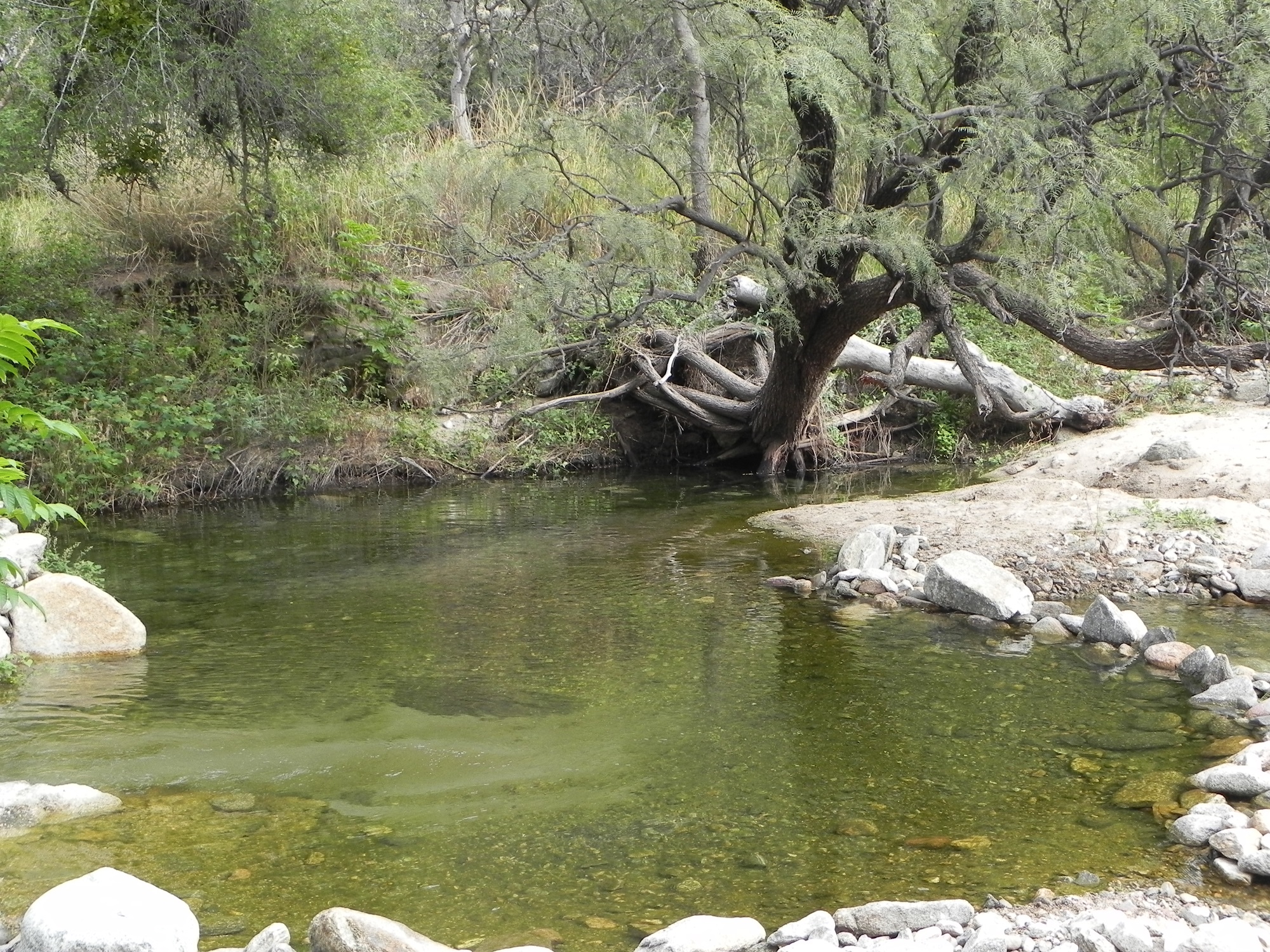 Quebrada de las Higueritas busca convertirse en una de las siete maravillas provinciales