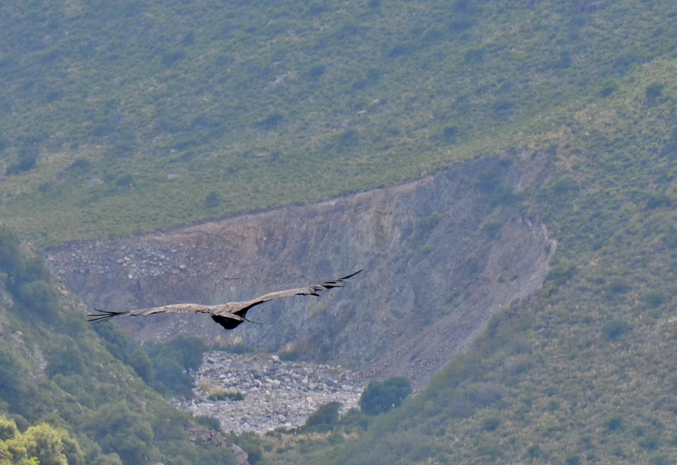 “Sumaj Quilla”: un vuelo de libertad en un marco natural imponente